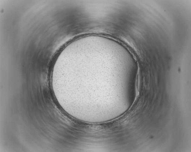 X0000088581452200706151659