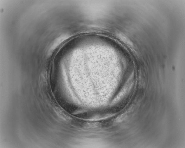 X0000088581453200706151659