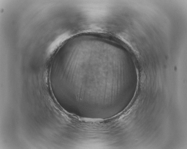 X0000088581455200706151659