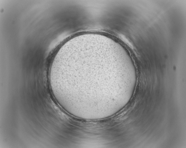 X0000088581456200706151659