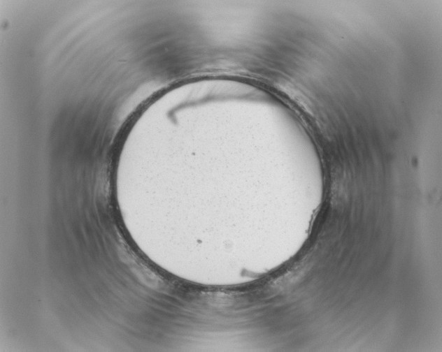 X0000088581458200706151659