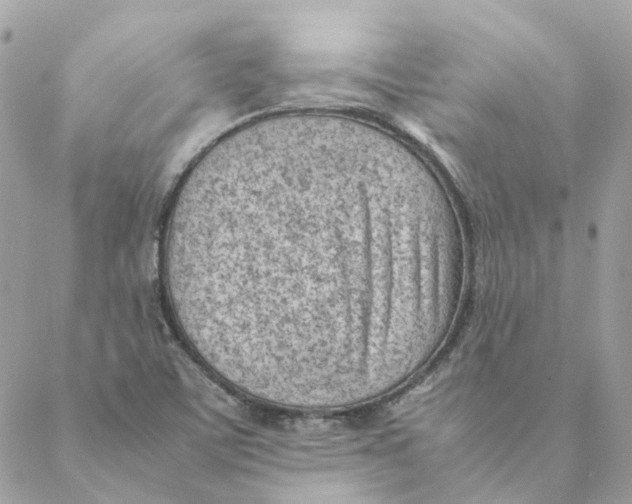 X0000088581459200706151659