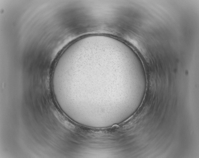 X0000088581460200706151659