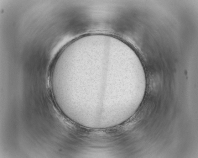 X0000088581462200706151659