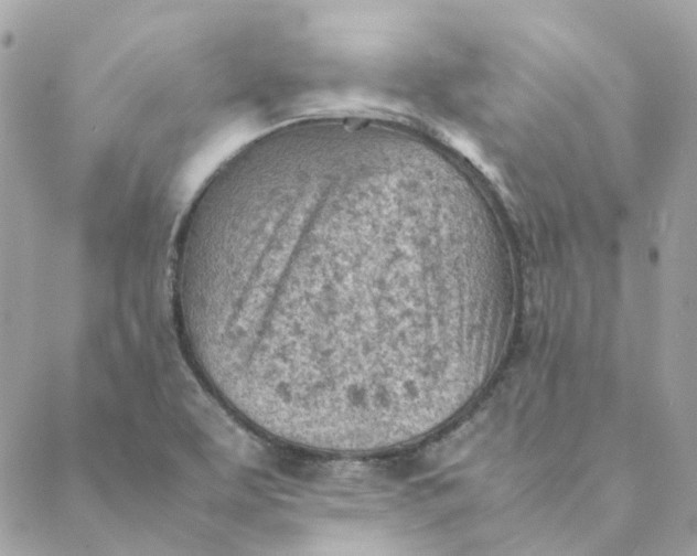 X0000088581463200706151659