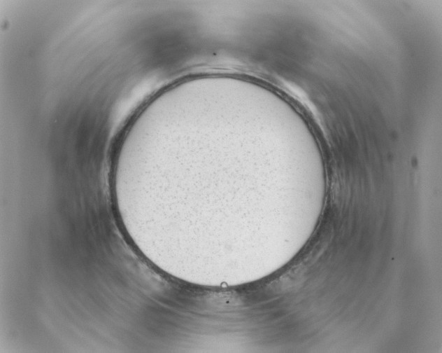 X0000088581464200706151659