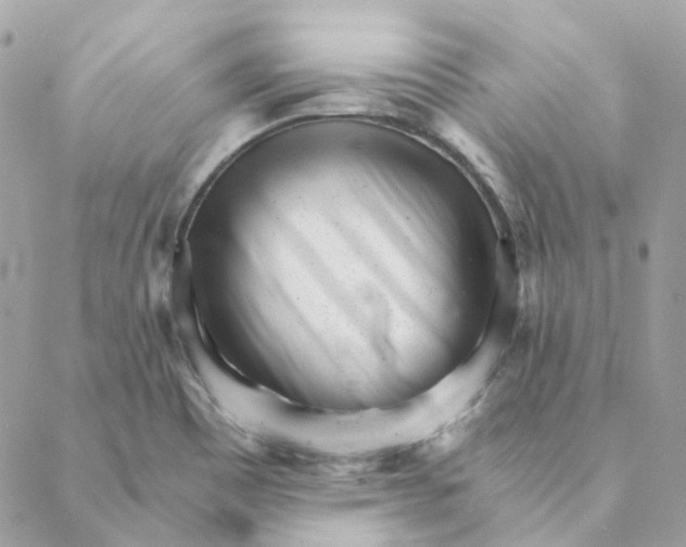 X0000088581465200706151659