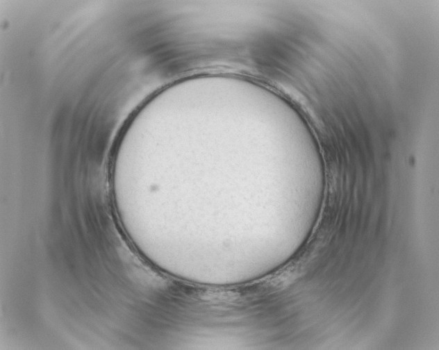 X0000088581466200706151659