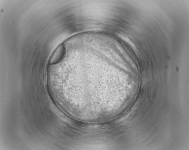 X0000088581467200706151659