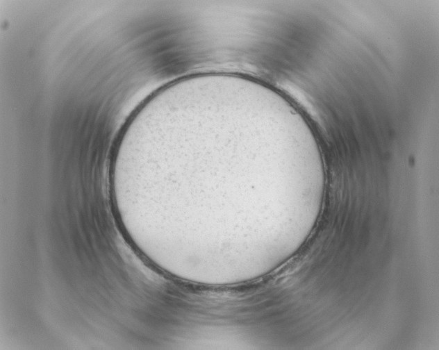 X0000088581468200706151659