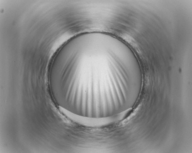 X0000088581469200706151659