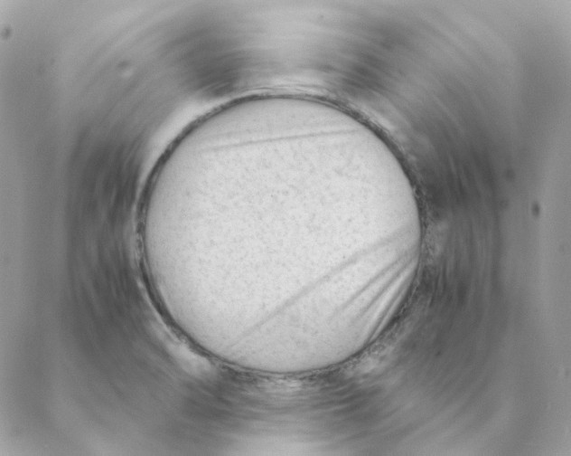 X0000088581470200706151659