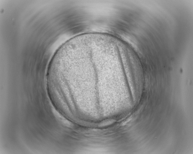 X0000088581471200706151659