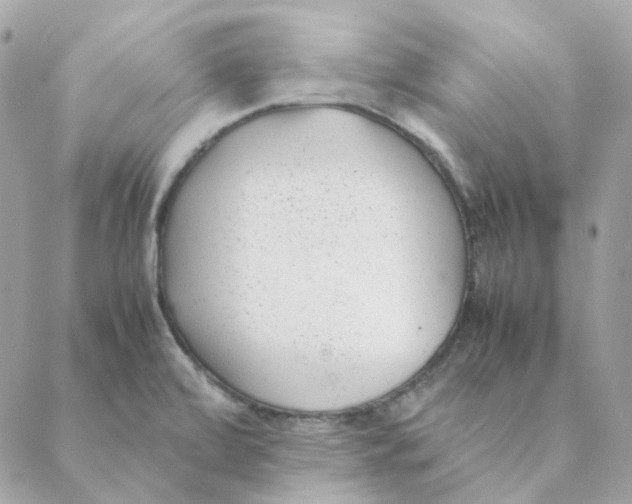 X0000088581472200706151659