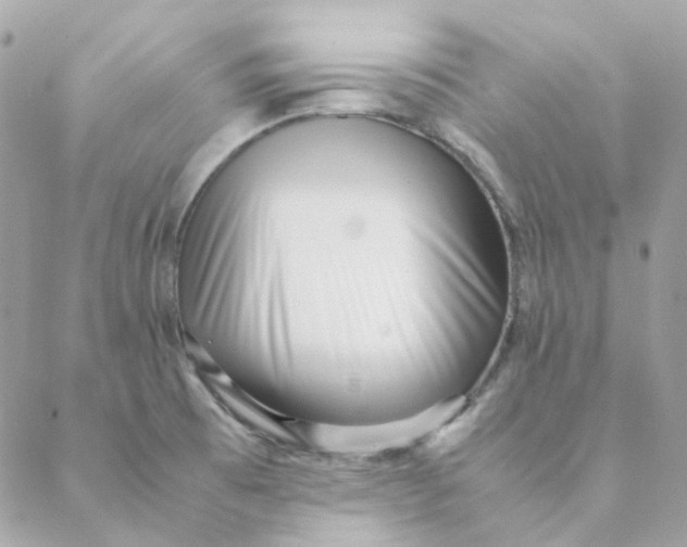 X0000088581473200706151659