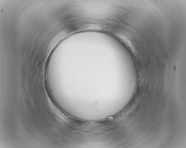 X0000088581475200706151659