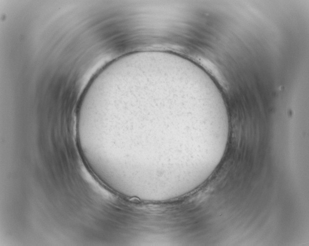 X0000088581476200706151659