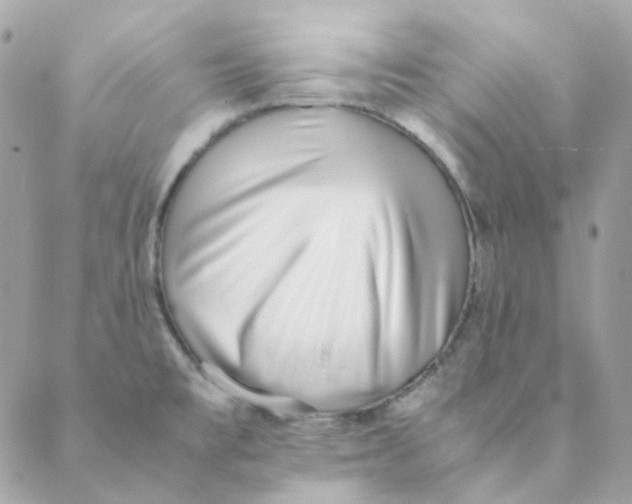 X0000088581477200706151659