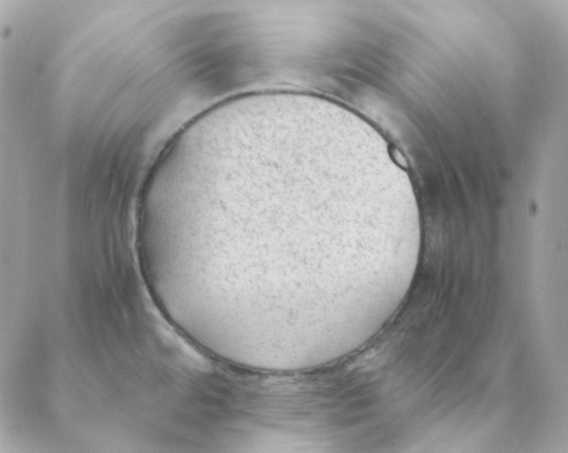 X0000088581480200706151659