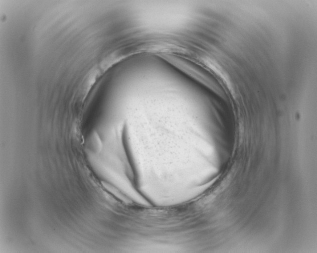 X0000088581481200706151659