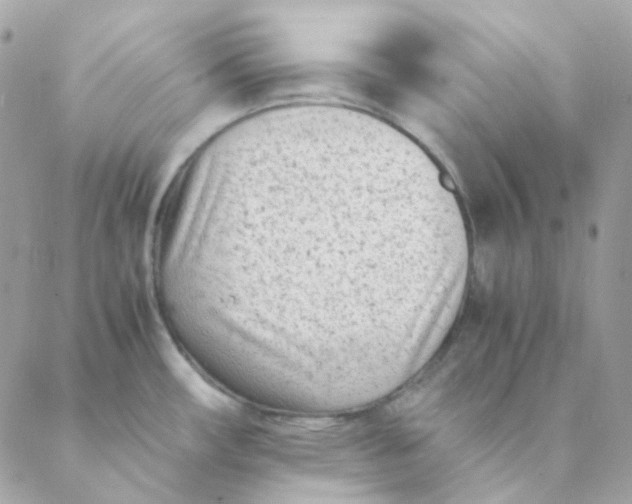 X0000088581482200706151659