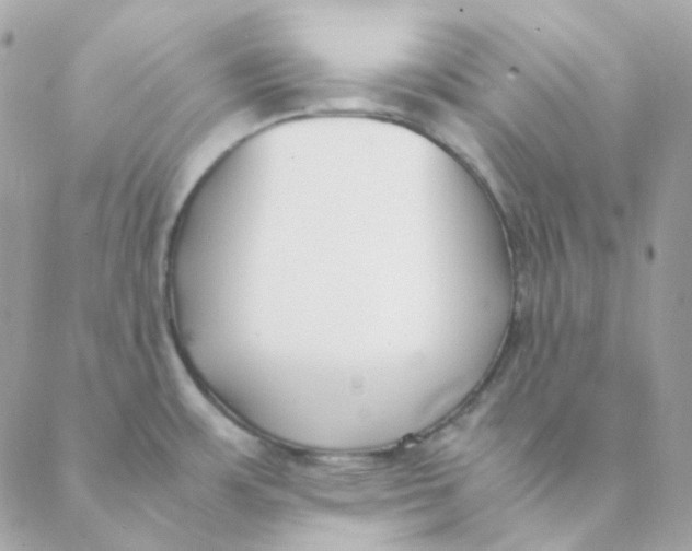 X0000088581483200706151659