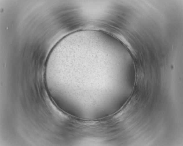 X0000088581484200706151659