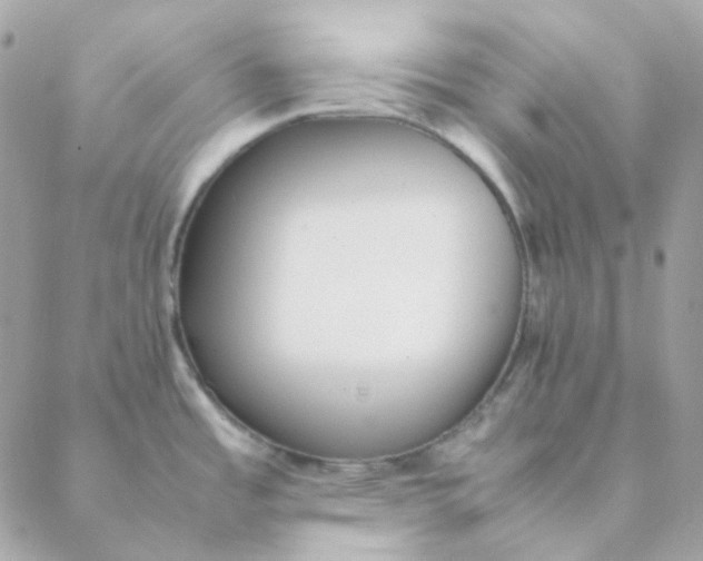 X0000088581485200706151659