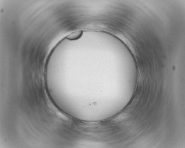 X0000088581486200706151659