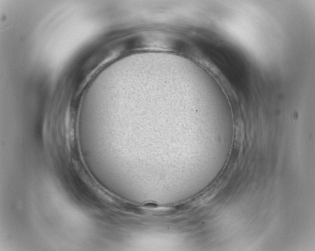 X0000088581487200706151659