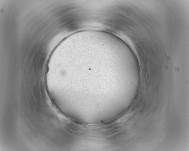 X0000088581488200706151659