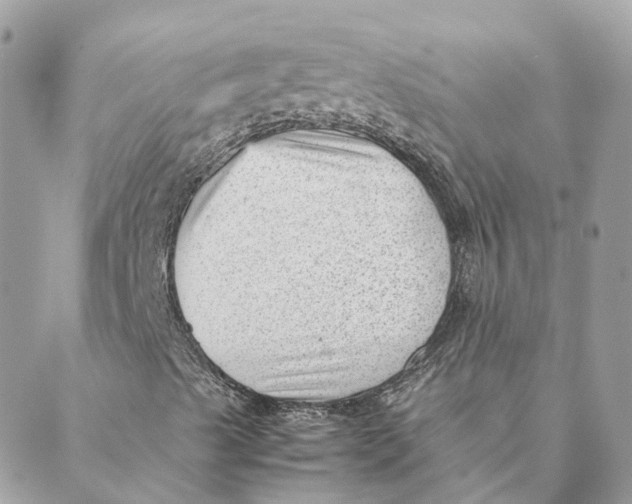 X0000088581489200706151658