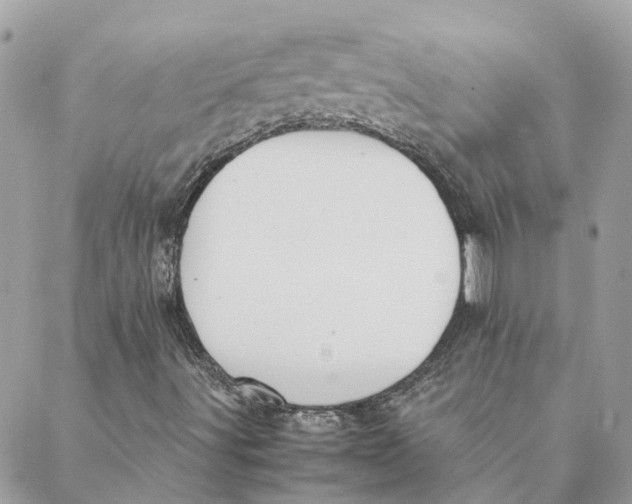 X0000088581491200706151658