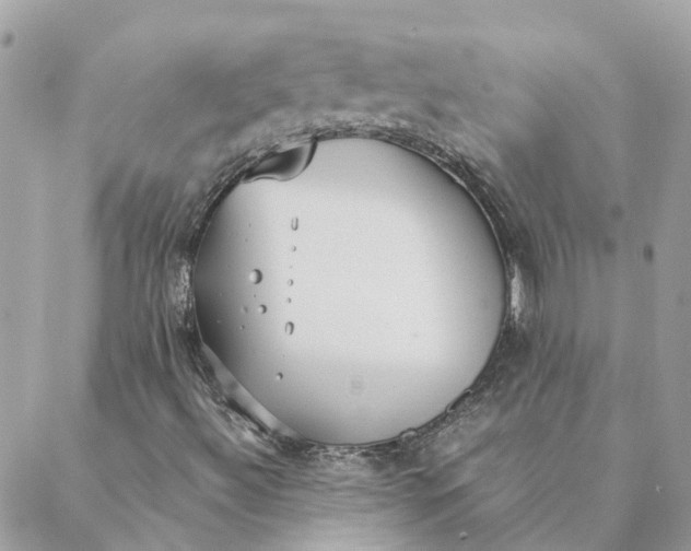 X0000088581492200706151658