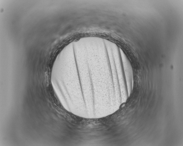 X0000088581493200706151658