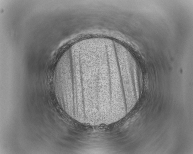 X0000088581494200706151658