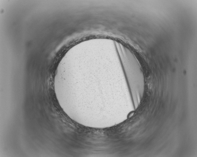 X0000088581495200706151658