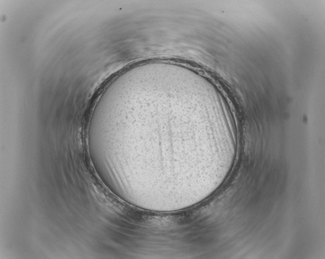 X0000088581497200706151658