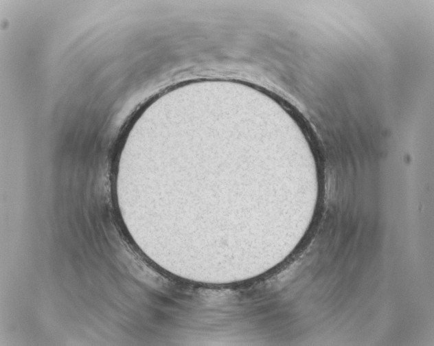 X0000088581498200706151658