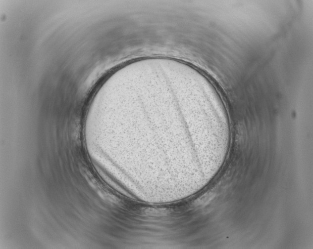 X0000088581499200706151658