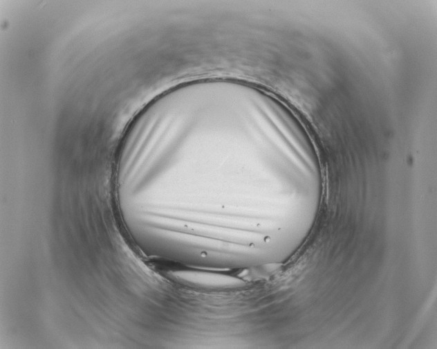 X0000088581500200706151658