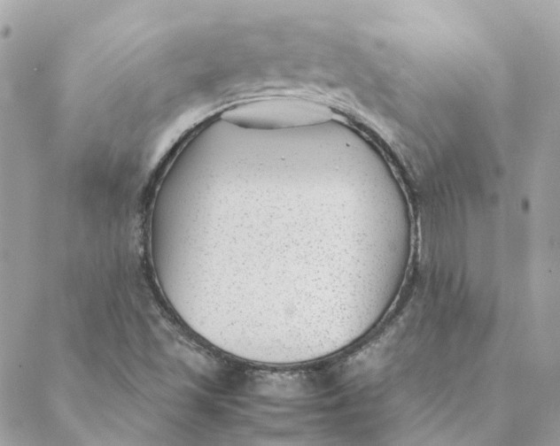 X0000088581501200706151658