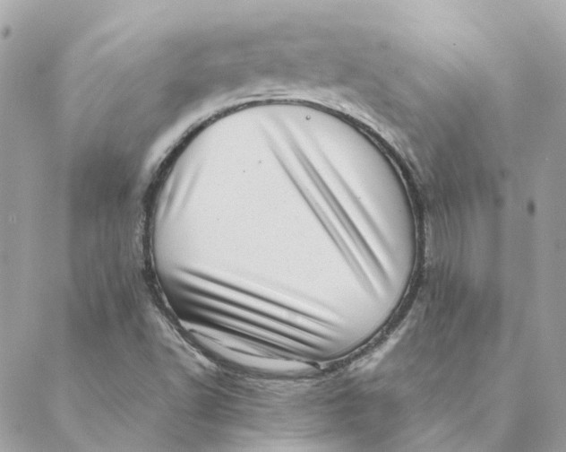 X0000088581502200706151658