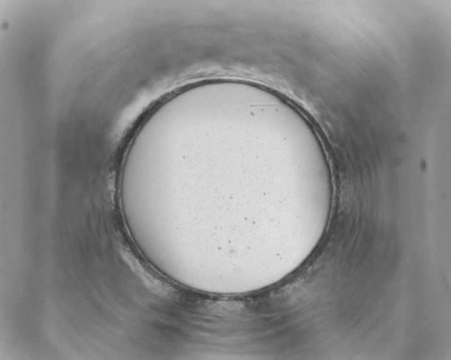 X0000088581503200706151658