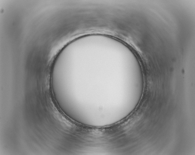 X0000088581504200706151658