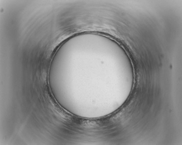 X0000088581505200706151658