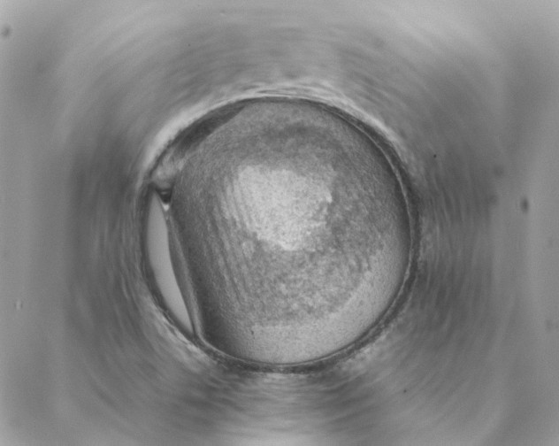 X0000088581506200706151658