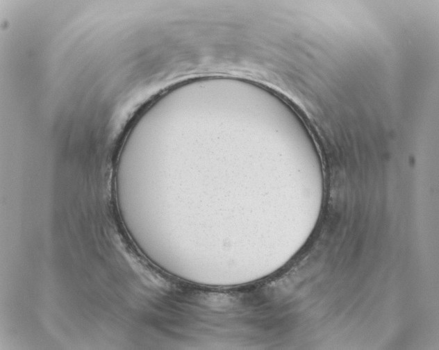 X0000088581507200706151658