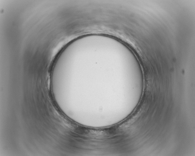 X0000088581509200706151658