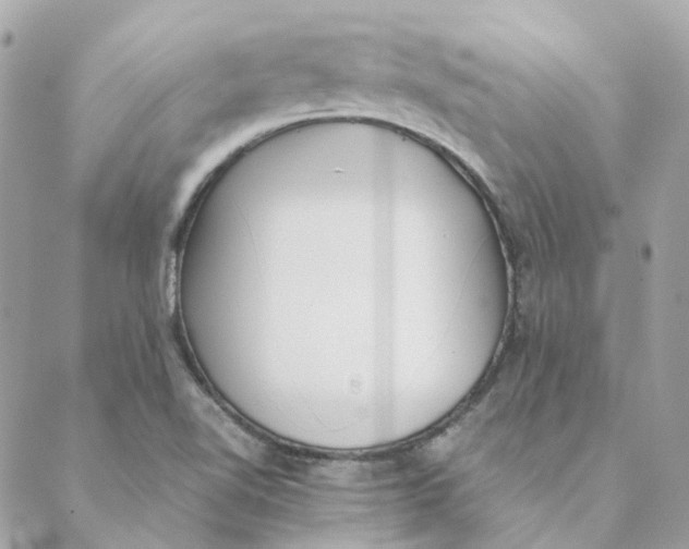 X0000088581510200706151658